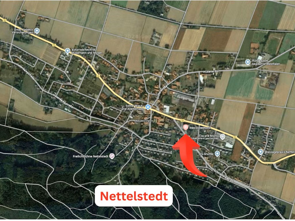 Karte mit Lage der Praxis in Nettelstedt
